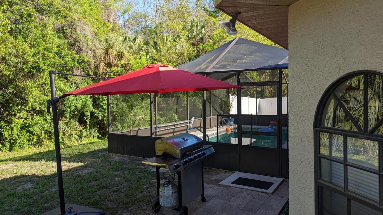 Your Manatee And Scalloping Adventure Retreat Crystal River Eksteriør billede